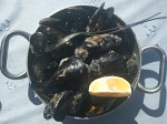 Mussels in breadcrumps - Mussels alla buzara (white) Mussels in breadcrumps - Mussels alla buzara (white)