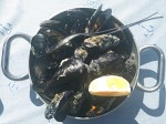 Mussels in breadcrumps - Mussels alla buzara (white) Mussels in breadcrumps - Mussels alla buzara (white)