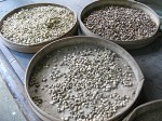 Vietnamese coffee beans.