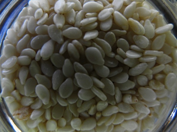 Goma Dofu: The Silky Sesame Tofu From Japan’s Ancient Temples Goma Dofu: The Silky Sesame Tofu From Japan’s Ancient Temples