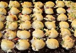 Takoyaki - Okayama. Takoyaki - Okayama.