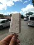 Coconut ice creams with small coco flakes inside. Coconut ice creams with small coco flakes inside.