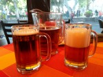 XX Dos Equis beer.