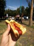 Hot-dog in Mexico City. Hot-dog in Mexico City.