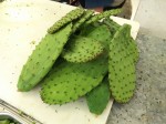 Nopal - prickly pear. Nopal - prickly pear.