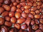 Jujube – red dates or Chinese date Jujube – red dates or Chinese date