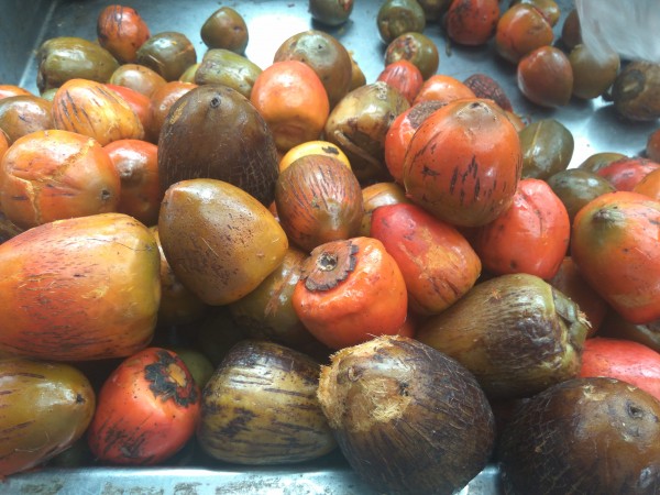 5 TOP ‘Tico’ vegetables 5 TOP ‘Tico’ vegetables