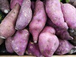 Camote – sweet potatoes Camote – sweet potatoes
