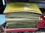 Banana leaves Banana leaves