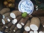 Yuca Yuca