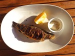 Whole grilled fish Whole grilled fish