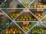 TOP Dominican exotic fruits TOP Dominican exotic fruits
