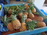 TOP Dominican exotic fruits - pineapples TOP Dominican exotic fruits - pineapples