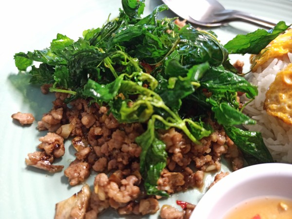 Omelet on rice with fried crispy basil leaves and minced pork meat Omelet on rice with fried crispy basil leaves and minced pork meat
