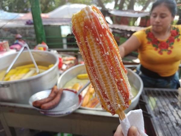 Elote dulce vs elote asado - boiled vs grilled sweet corn Elote dulce vs elote asado - boiled vs grilled sweet corn