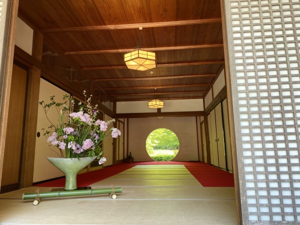 Visit National Historic Site – Meigetsu-in Temple in Kamakura Visit National Historic Site – Meigetsu-in Temple in Kamakura