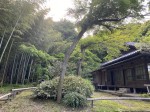 Eishoji Temple - the only nunnery in Kamakura Eishoji Temple - the only nunnery in Kamakura