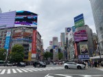 1-Day, everything-in-1 tour of Tokyo’s top spots