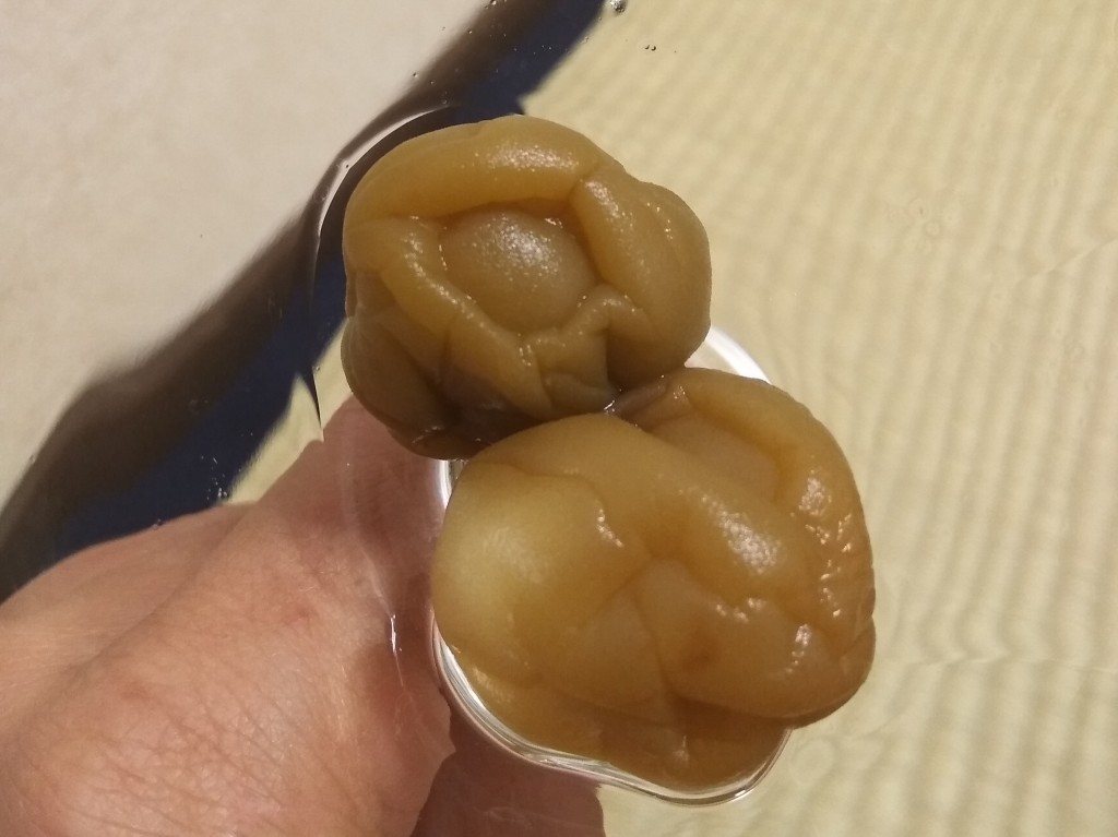 Ume from Choya liquor. Ume from Choya liquor.