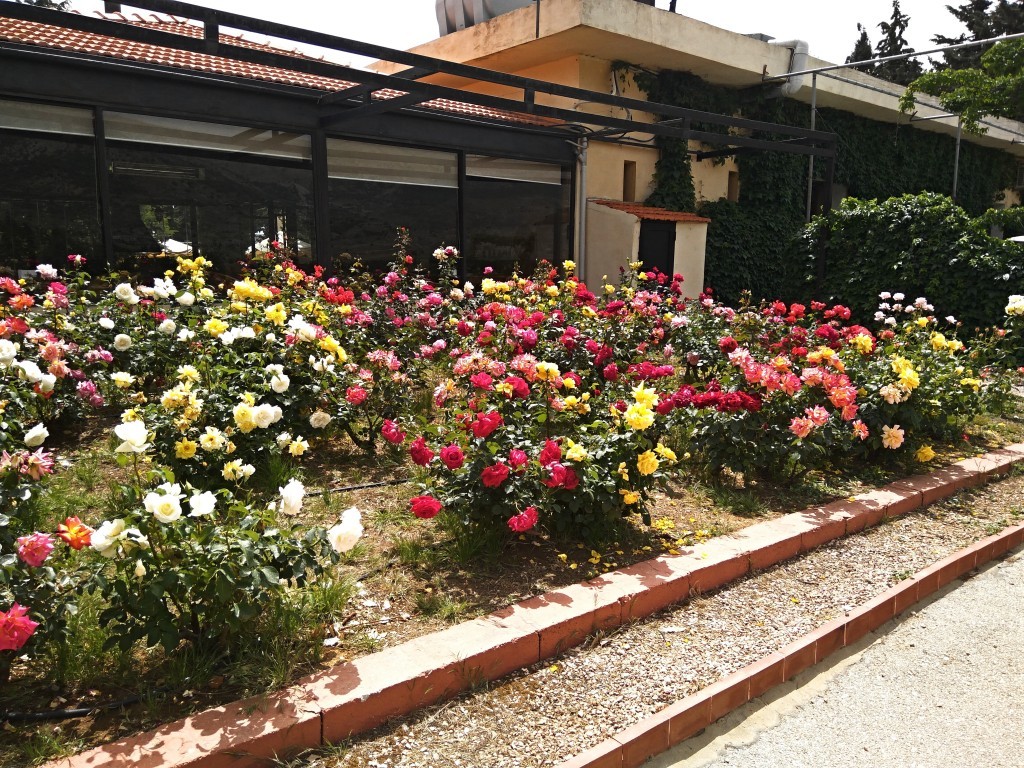 Château Kefraya. Château Kefraya.