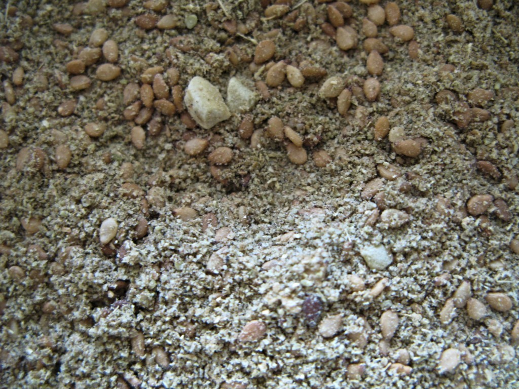 Lebanese zaatar - a mix of thyme with spices and sesame seeds. Lebanese zaatar - a mix of thyme with spices and sesame seeds.