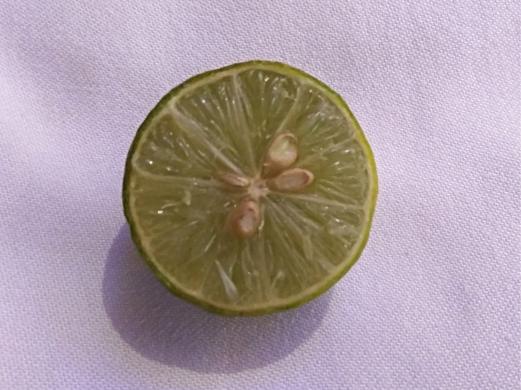 Limes perfect for every meal - Egypt, Sharm El Sheikh. Limes perfect for every meal - Egypt, Sharm El Sheikh.