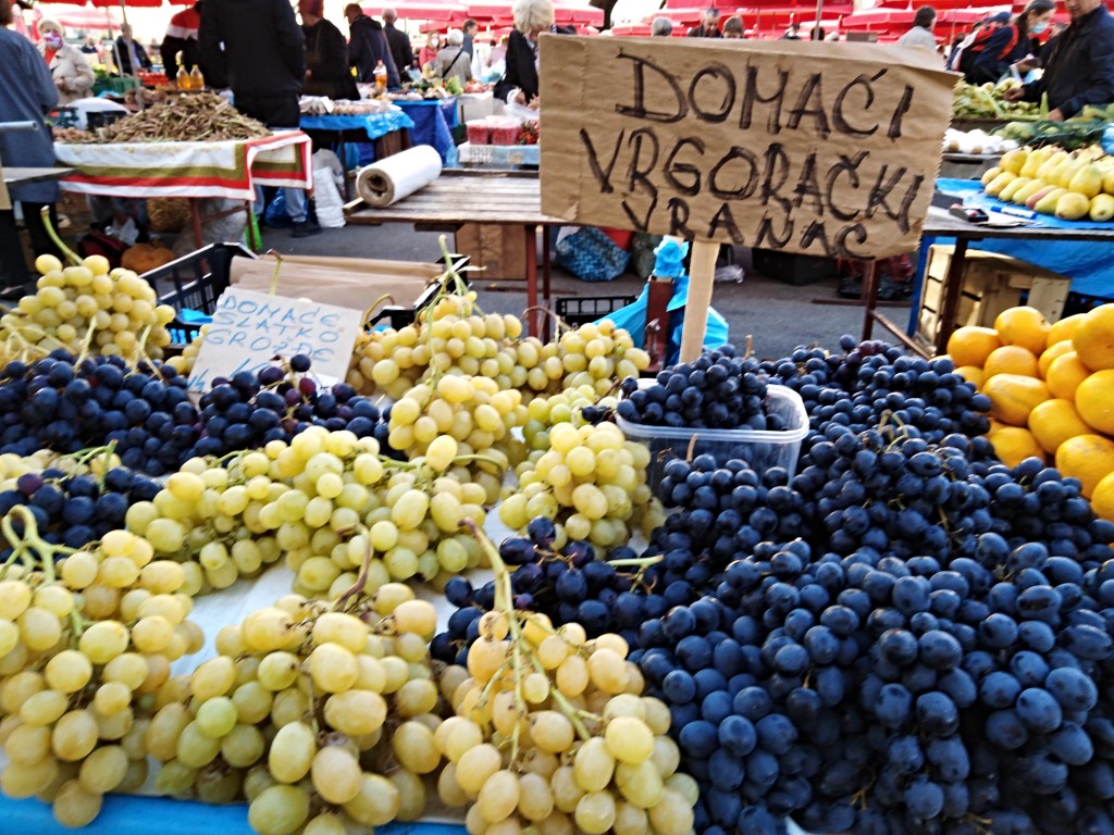 Vranac grapes Vranac grapes