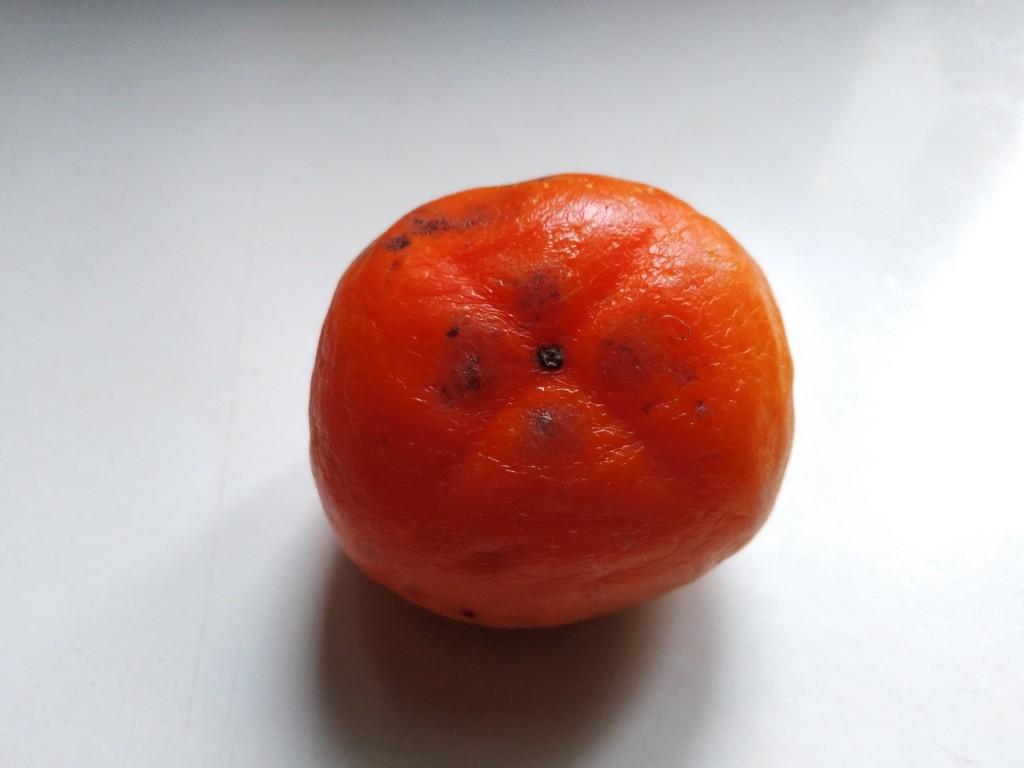 Persimmon – kaki fruit Persimmon – kaki fruit
