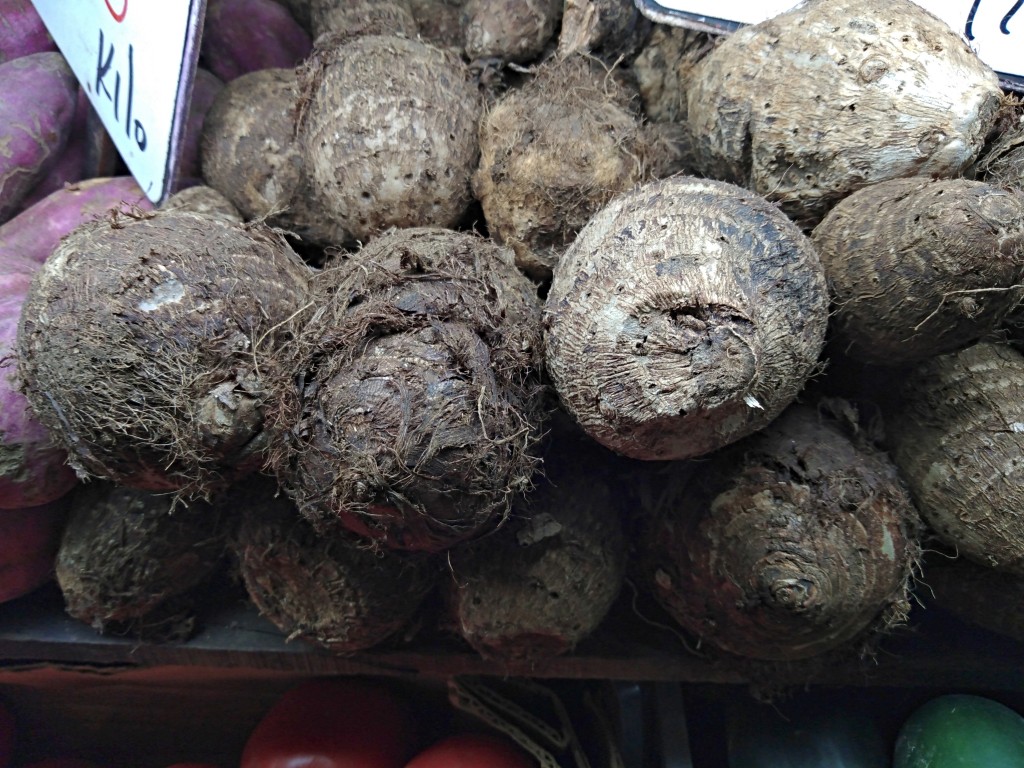 Tiquisque - Costa Rica Tiquisque - Costa Rica