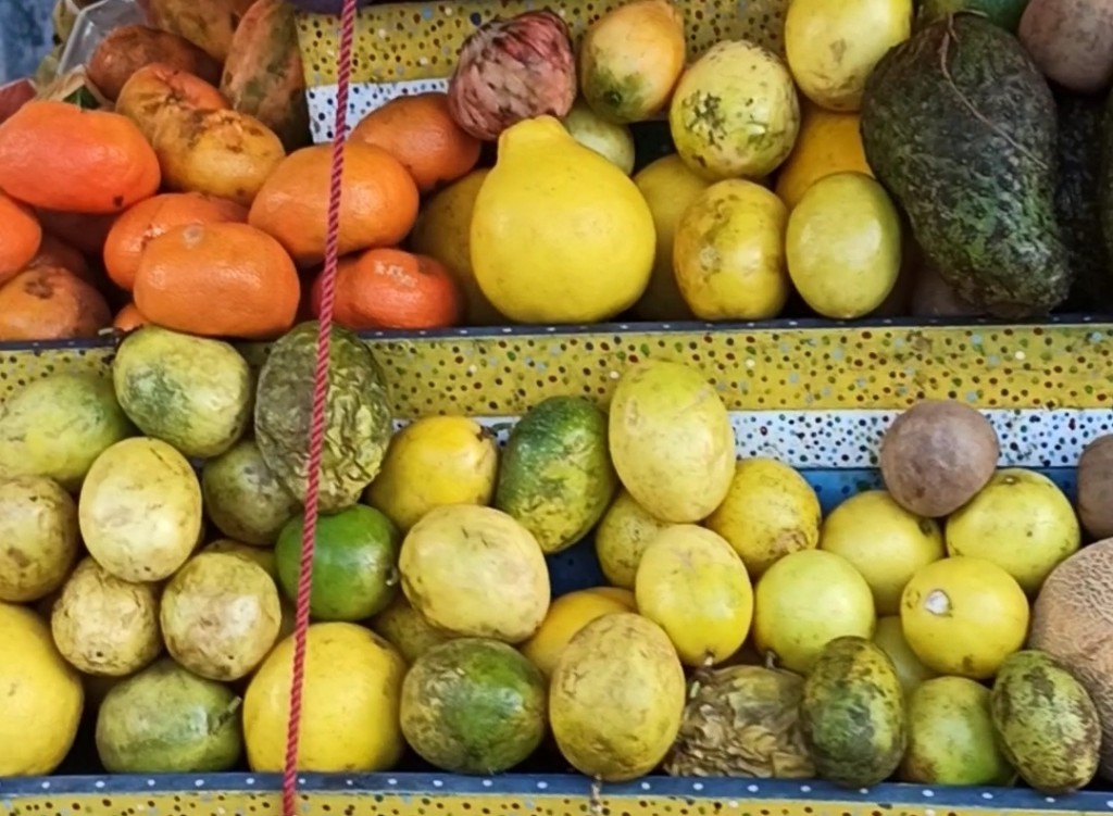 Fresh fruits Fresh fruits