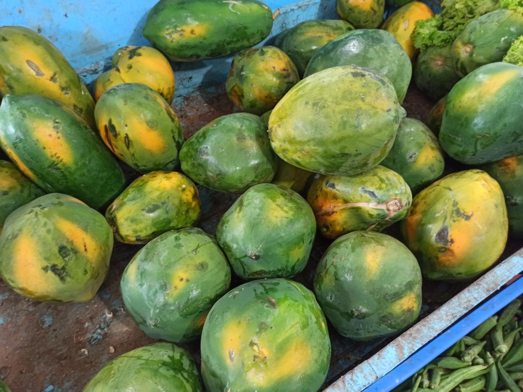 TOP 15 Exotic fruits you MUST try in the Dominican Republic - papayas TOP 15 Exotic fruits you MUST try in the Dominican Republic - papayas