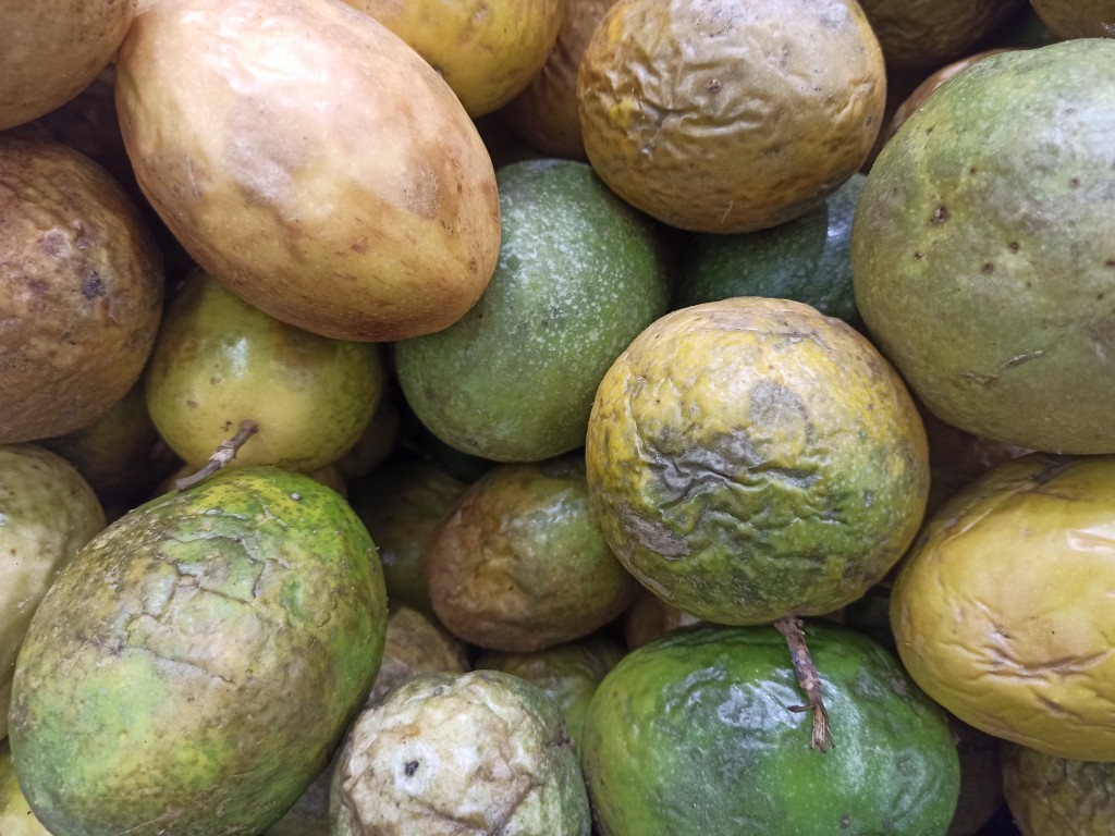 TOP 15 Exotic fruits you MUST try in the Dominican Republic - chinola TOP 15 Exotic fruits you MUST try in the Dominican Republic - chinola