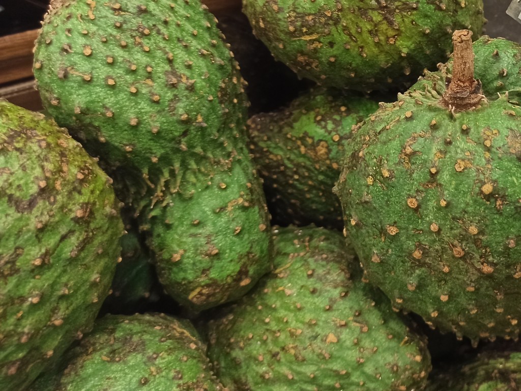 TOP 15 Exotic fruits you MUST try in the Dominican Republic - guanabana TOP 15 Exotic fruits you MUST try in the Dominican Republic - guanabana