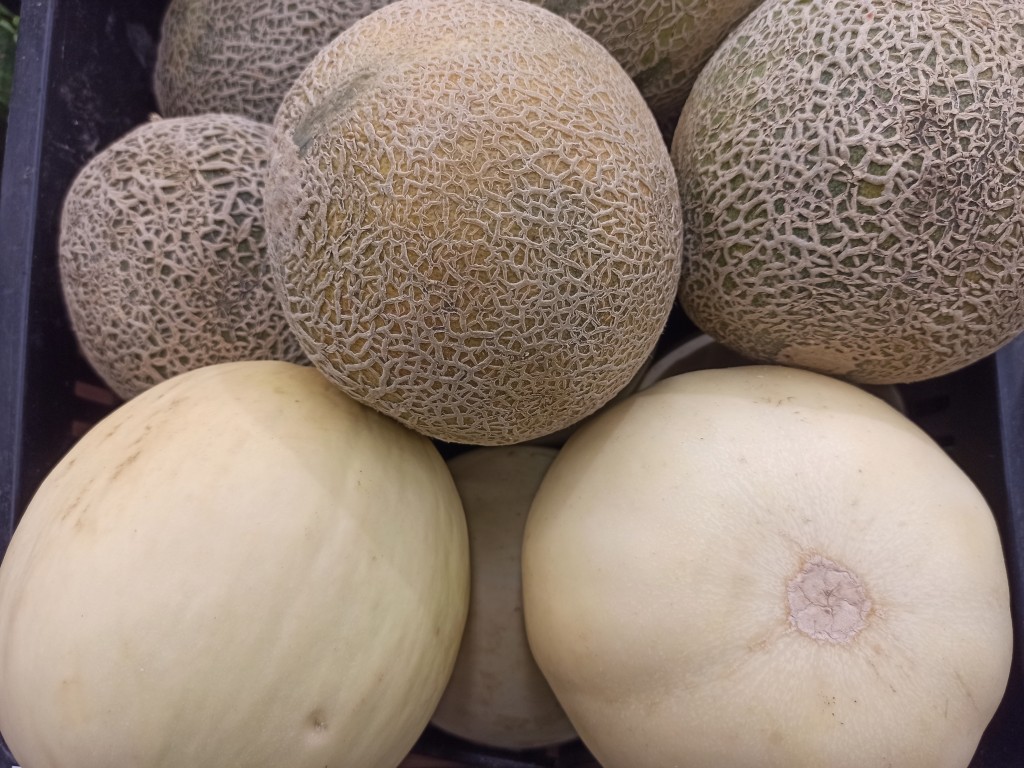 TOP 15 Exotic fruits you MUST try in the Dominican Republic - melons TOP 15 Exotic fruits you MUST try in the Dominican Republic - melons