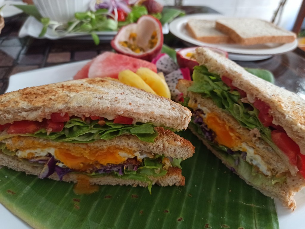 What to eat before a jungle trek in Thailand? 7 top breakfast sets before trekking in Thailand - Sandwiches with eggs and vegetables What to eat before a jungle trek in Thailand? 7 top breakfast sets before trekking in Thailand - Sandwiches with eggs and vegetables