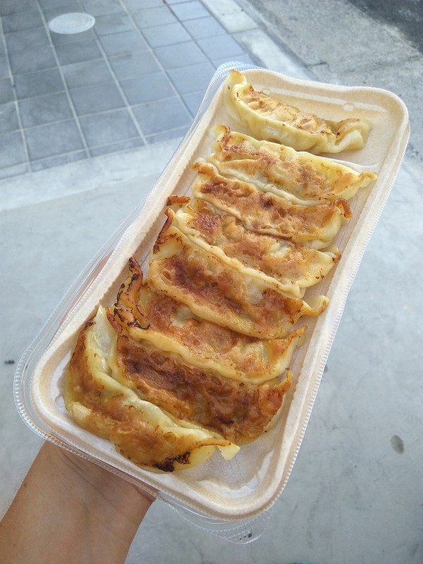 Gyoza - Japanese dumplings. Gyoza - Japanese dumplings.