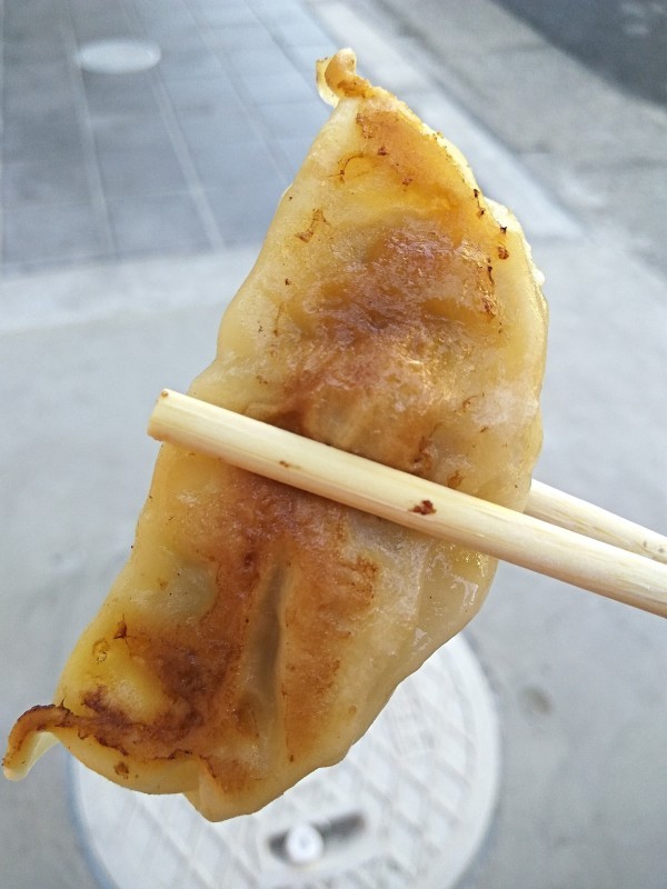 Gyoza - Japanese dumplings. Gyoza - Japanese dumplings.