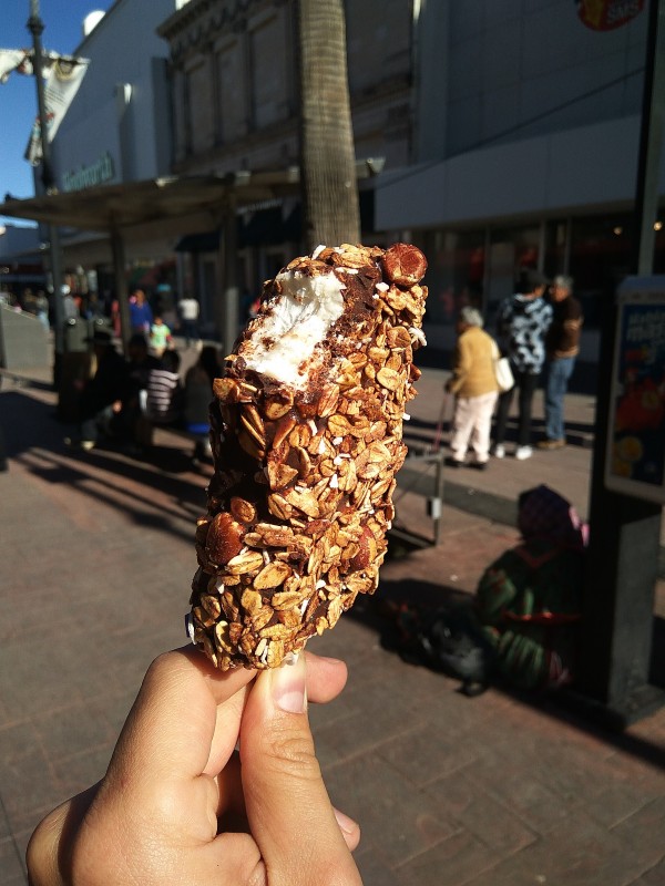 Artisan coconut ice-creams with chocolate - Chihuahua. Artisan coconut ice-creams with chocolate - Chihuahua.